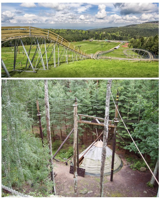 Mehliskopf